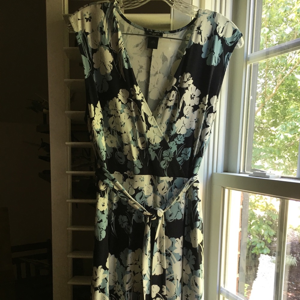Anne Taylor Petite Dress